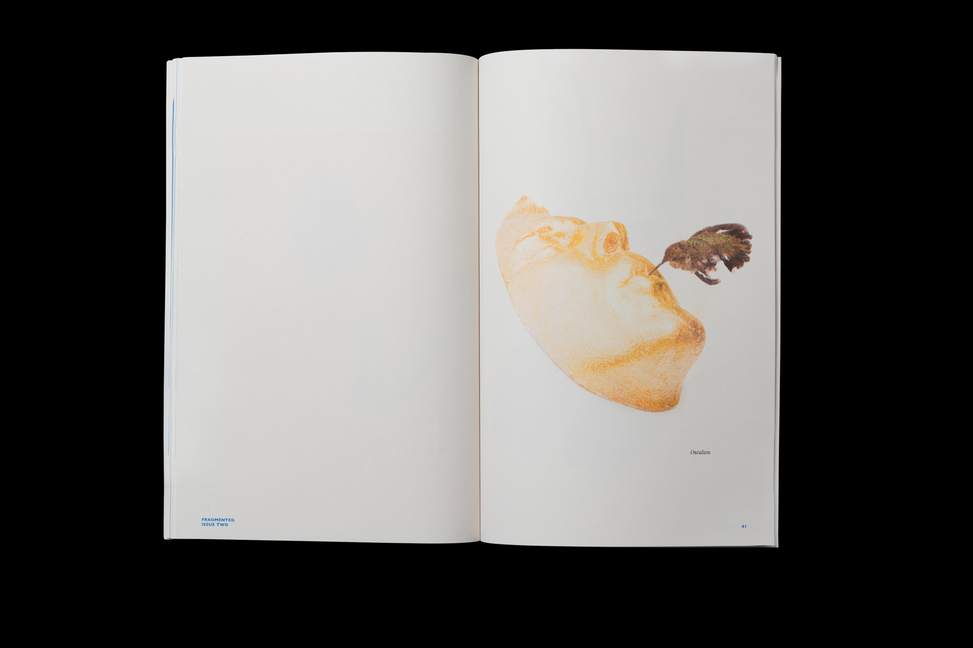 Nina Read Graphic Designer Melbourne 